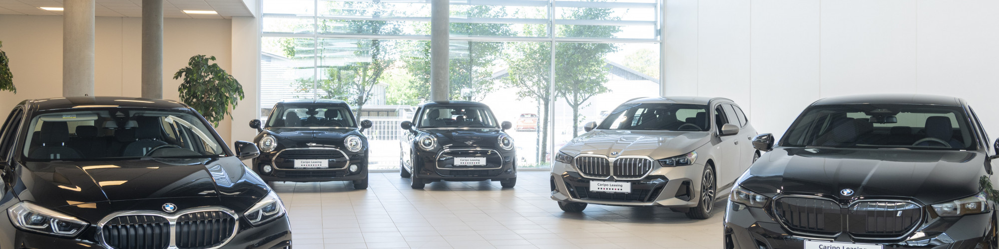 Leasing biler