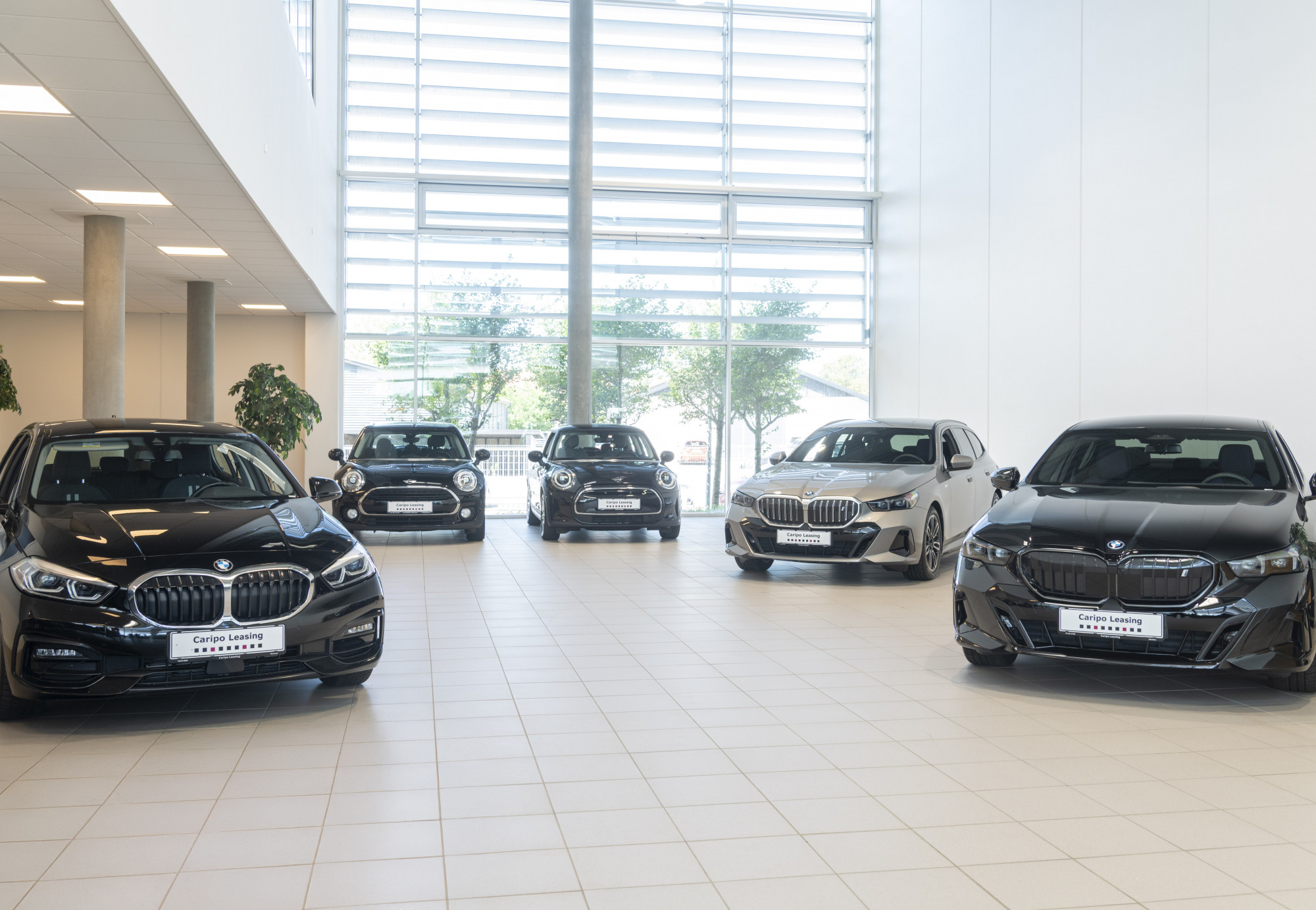 Leasing biler