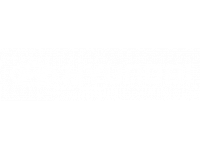 Hyundai.png